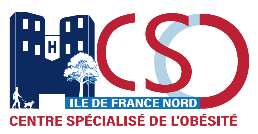 Logo-CSO-ILE-DE-FRANCE-NORD-bis